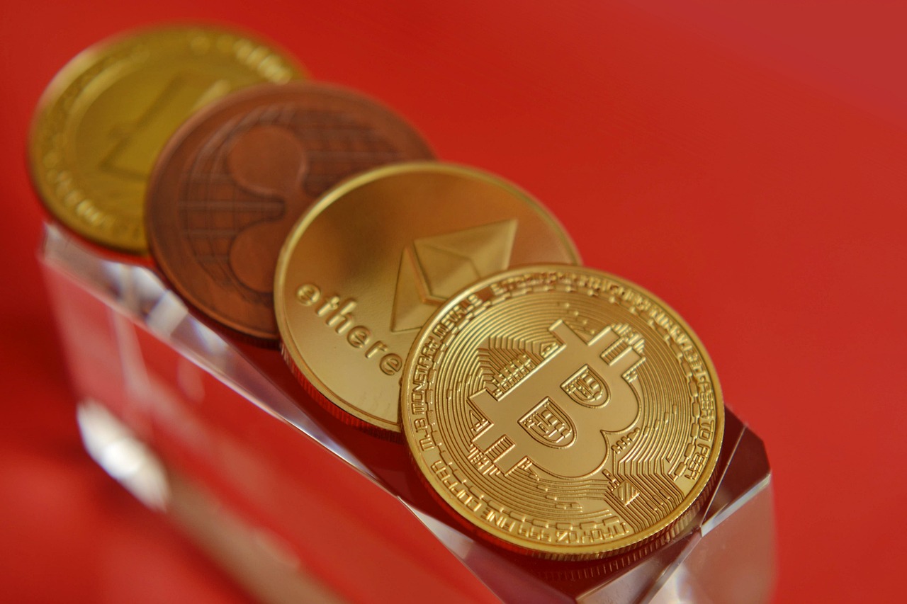 美国世界粮食计划署WFP宣布：接受BTC、ETH、USDC、DOGE、BONK等80种加密货币捐赠